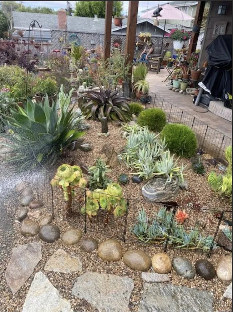 Top-rated lawn mowing service in Los Osos, CA - J&B Landscaping