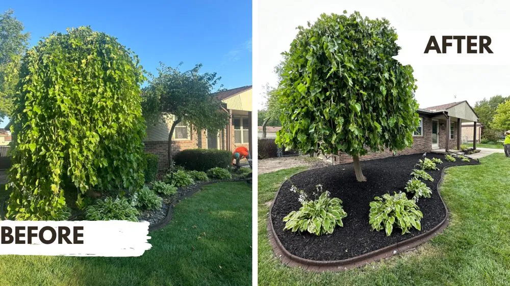 Trusted lawn care service for year-round maintenance across Macomb, MI - JB Landscaping