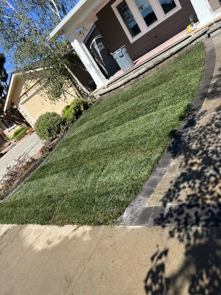 Top-rated yard cleanup service in Palo Alto, CA - JB Landscaping