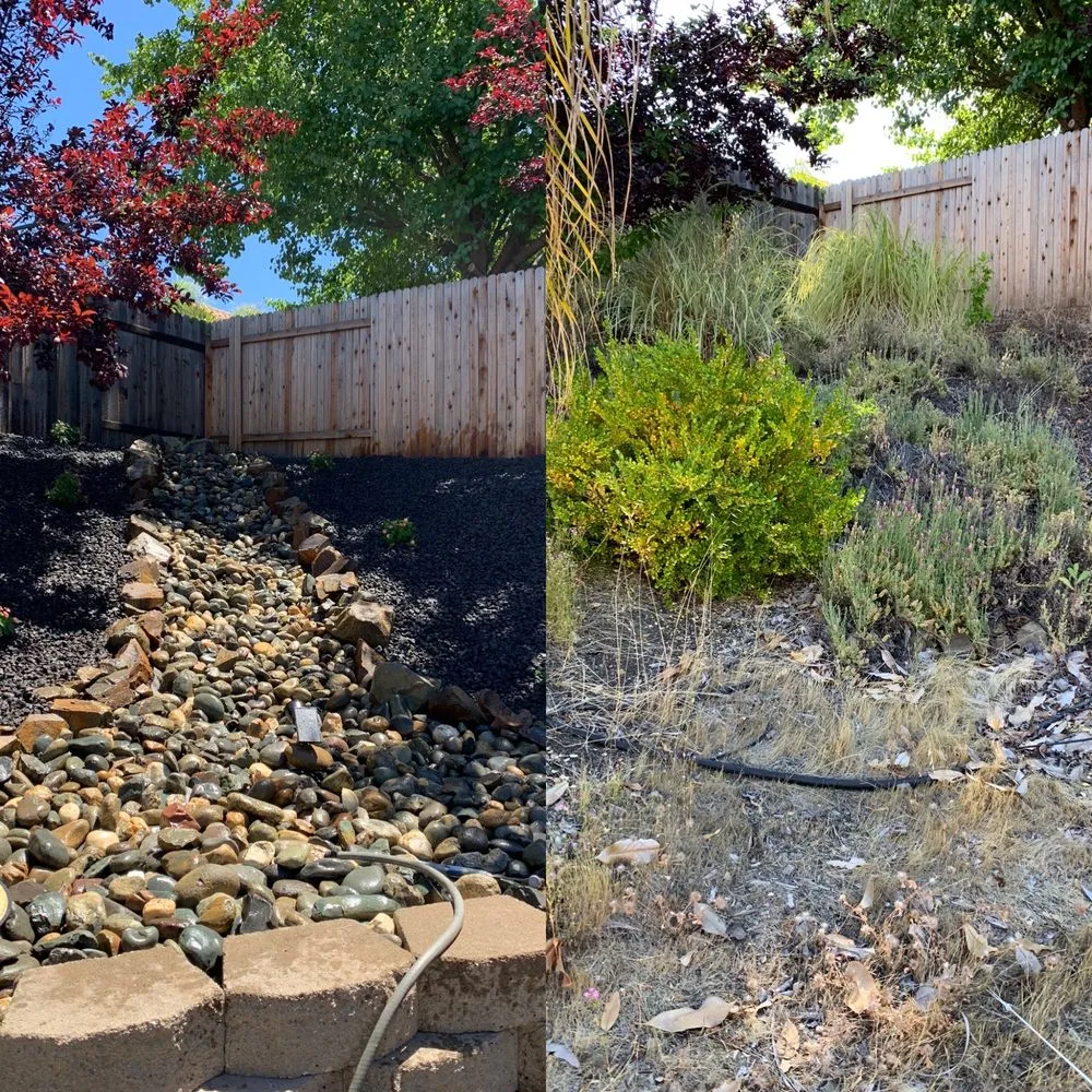 Custom lawn care service in Sacramento, CA - Jb Landscaping