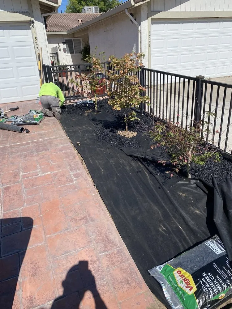 Trusted landscaping services for year-round maintenance across Sacramento, CA - Jb Landscaping