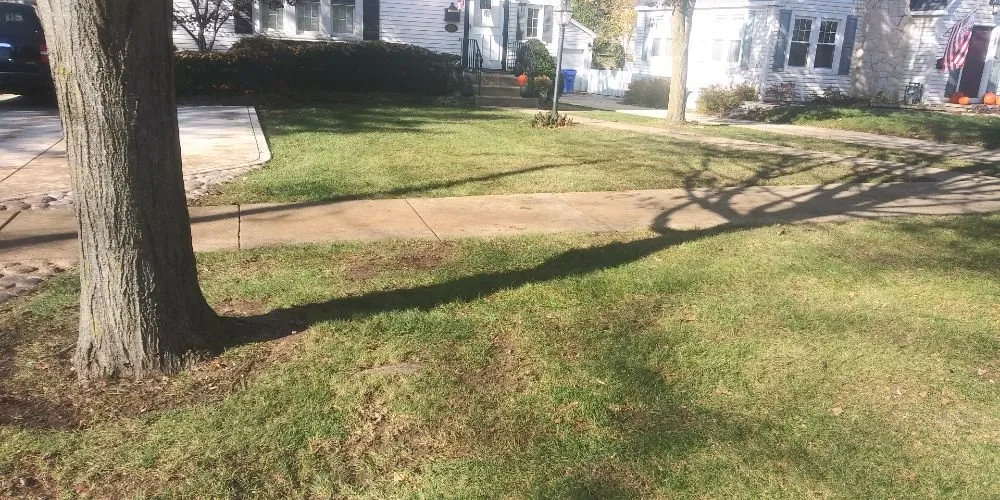 Reliable residential landscaping for residential properties in Addison, IL by JB Landscaping Services