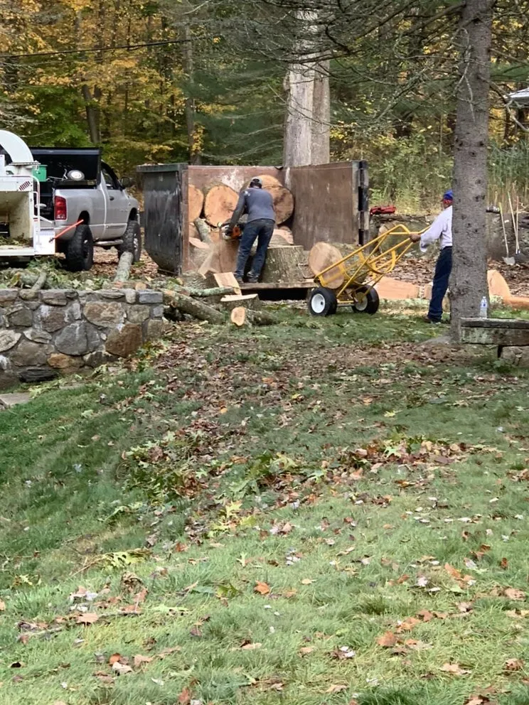 Trusted landscaping services experts serving Norwalk, CT - JB Landscaping Services