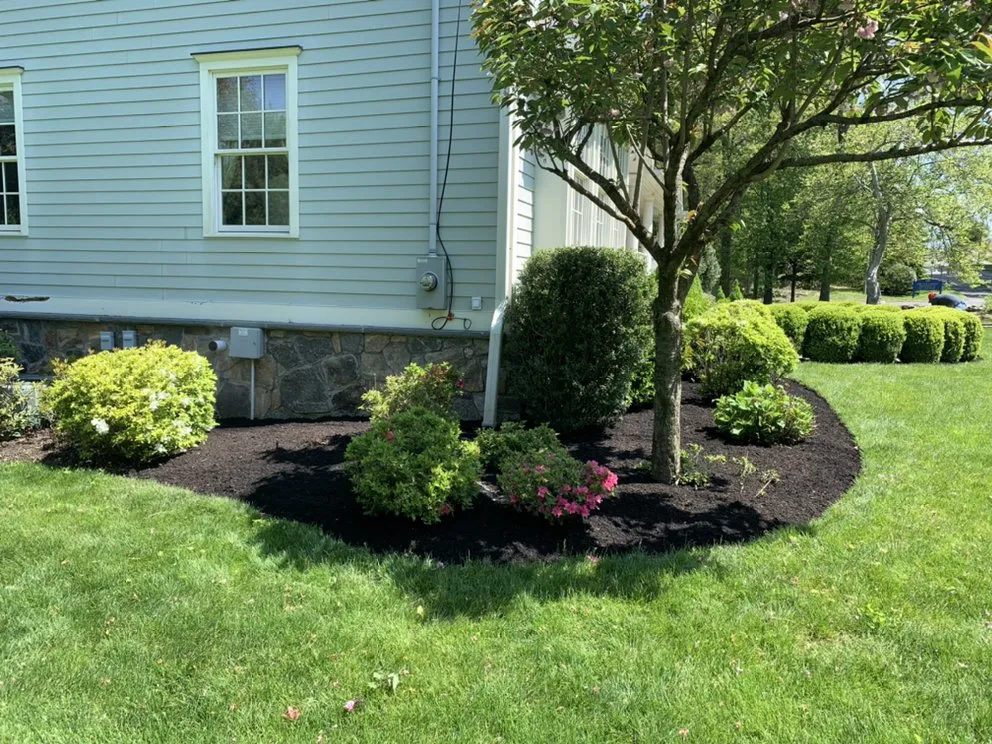 Top-rated lawn care service in Norwalk, CT - JB Landscaping Services