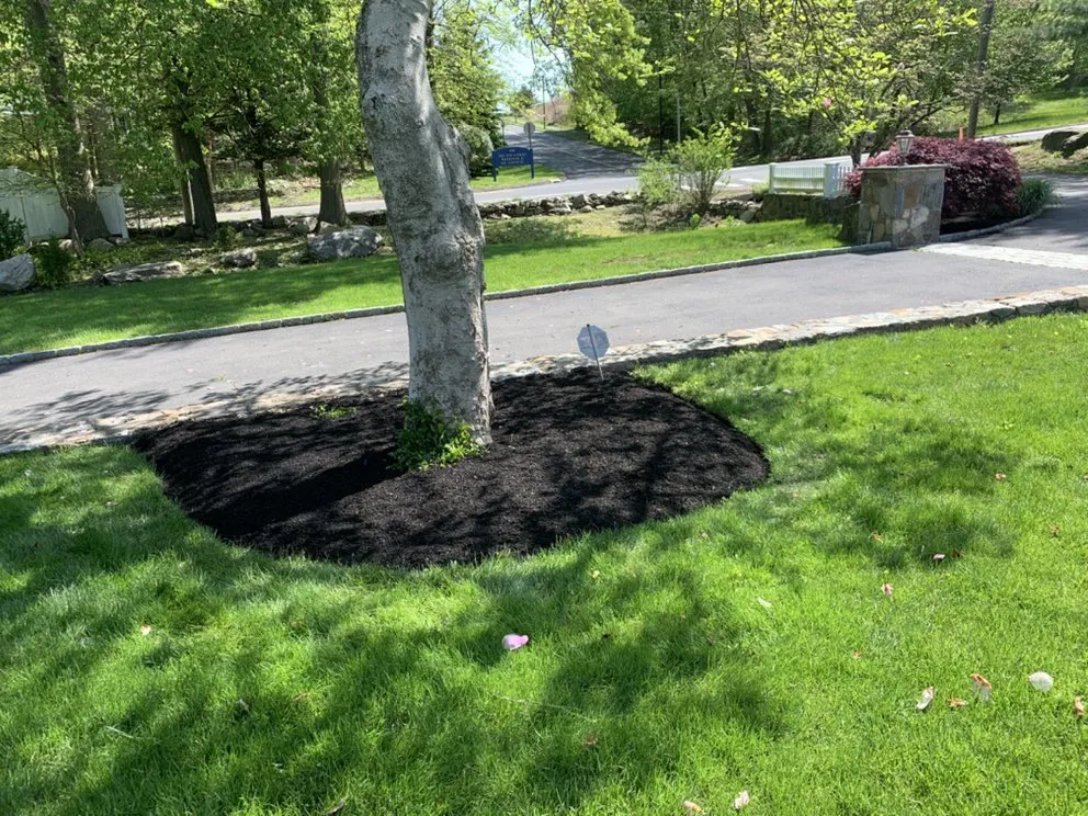 Trusted landscaping services for residential properties across Norwalk, CT - JB Landscaping Services