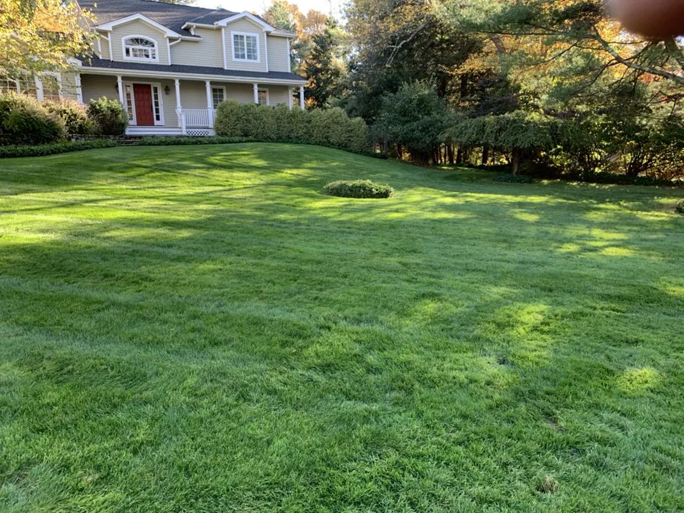 Top-rated yard maintenance experts serving Norwalk, CT - JB Landscaping Services