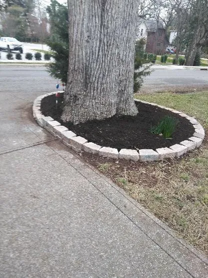 Expert yard maintenance for homes in Spring Hill, TN by JB Landscaping