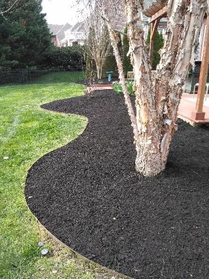 Trusted lawn care service experts serving Spring Hill, TN - JB Landscaping