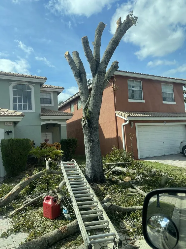 Custom landscape installation in West Palm Beach, FL - JB Landscaping