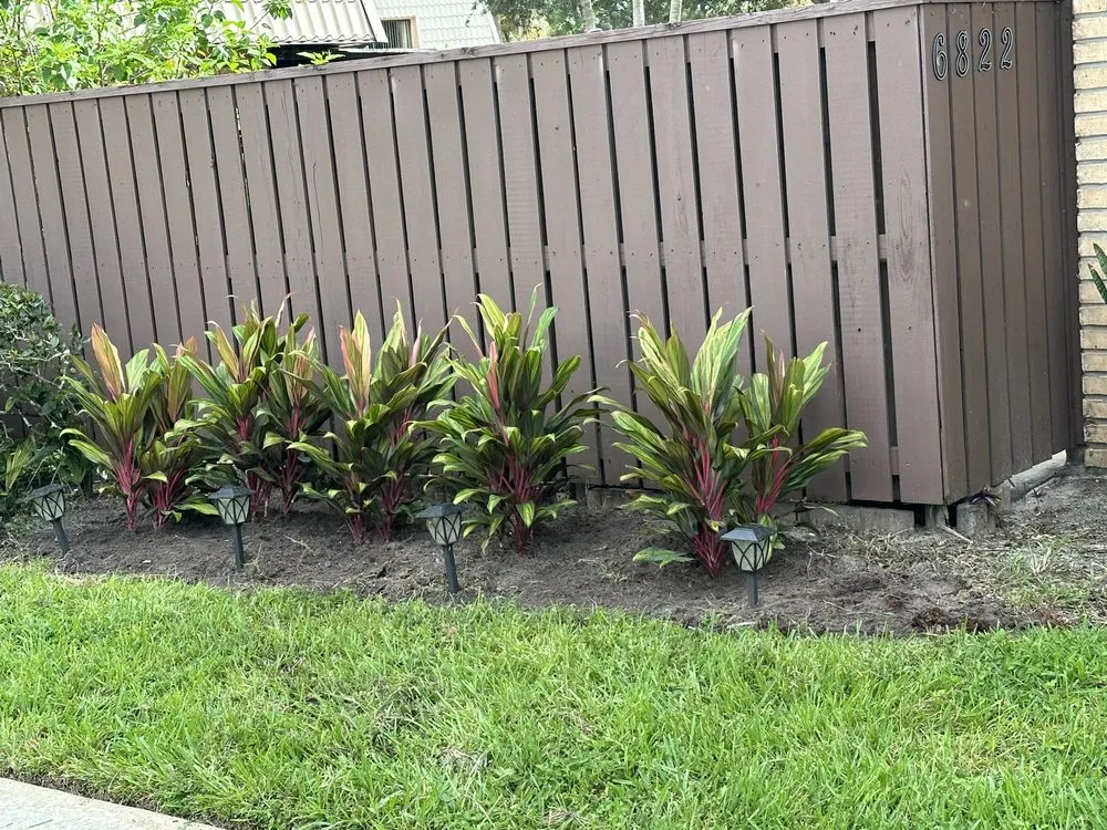 Local landscape design in West Palm Beach, FL - JB Landscaping