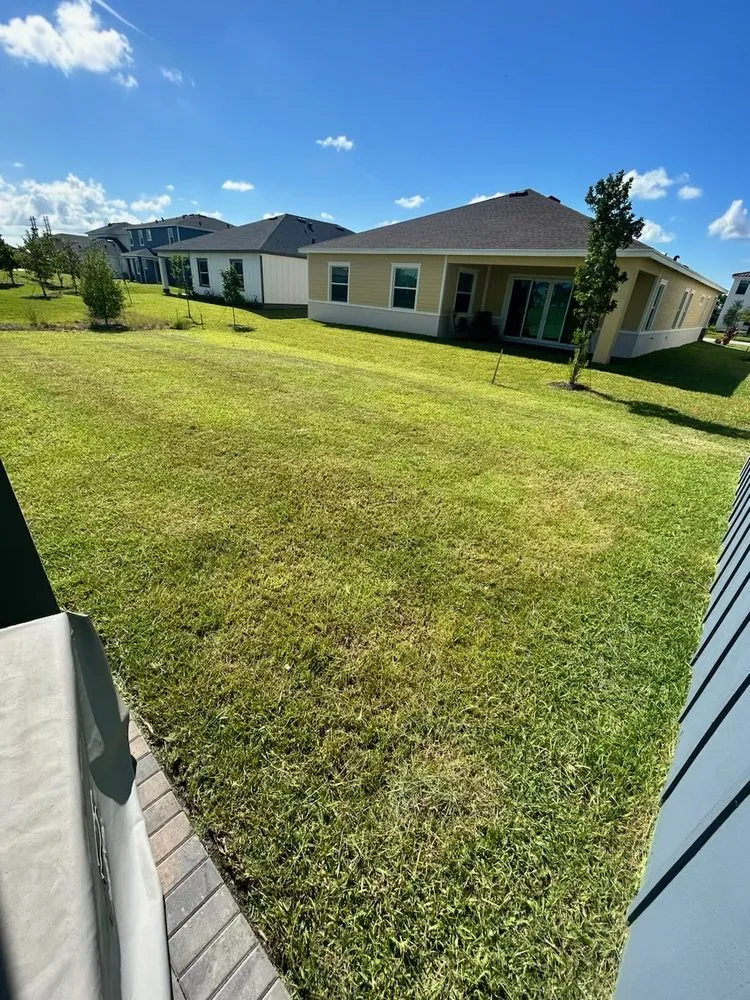 Expert landscaping services in West Palm Beach, FL - JB Landscaping