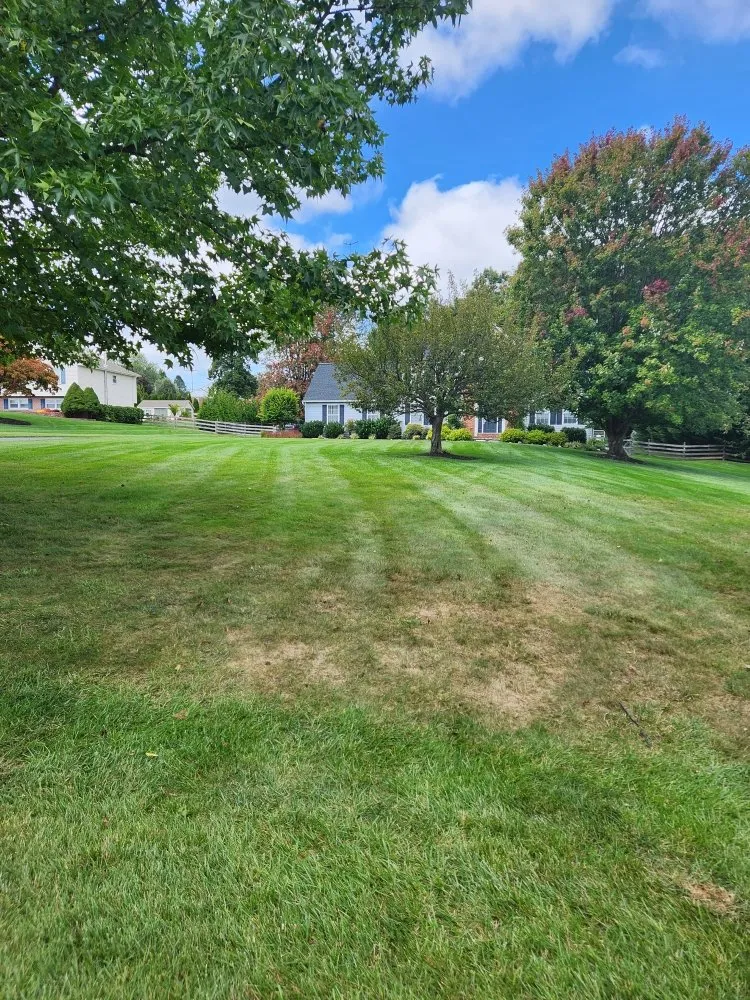 Top-rated yard maintenance for beautiful yards across Westminster, MD - JB Lawn Care and Landscape
