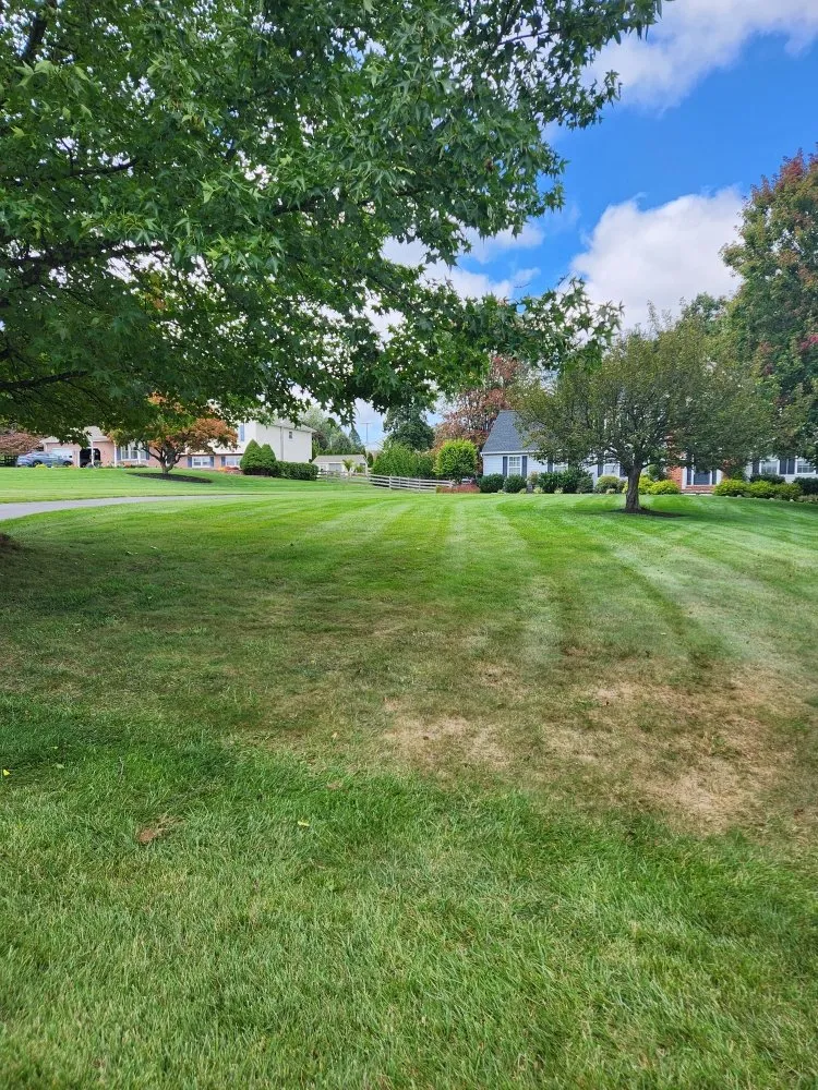 Top-rated lawn mowing service for outdoor upgrades in Westminster, MD by JB Lawn Care and Landscape