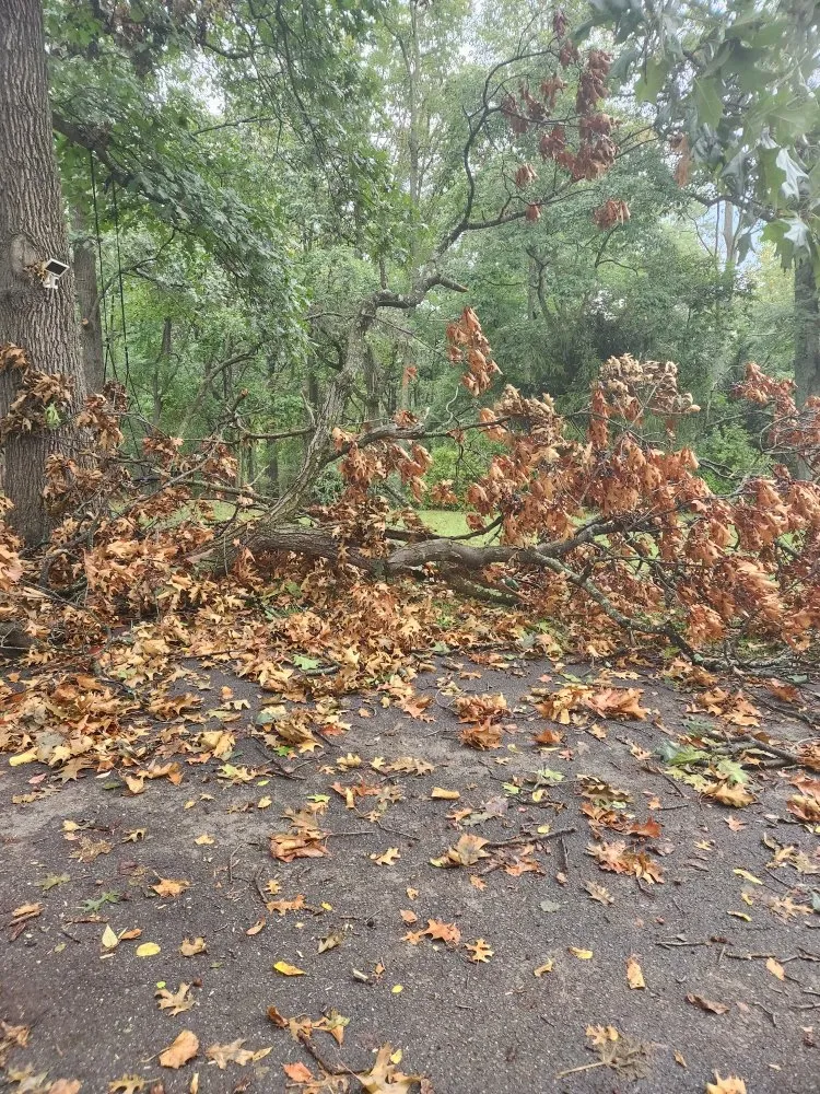 Trusted garden landscaping with custom design in Westminster, MD by JB Lawn Care and Landscape