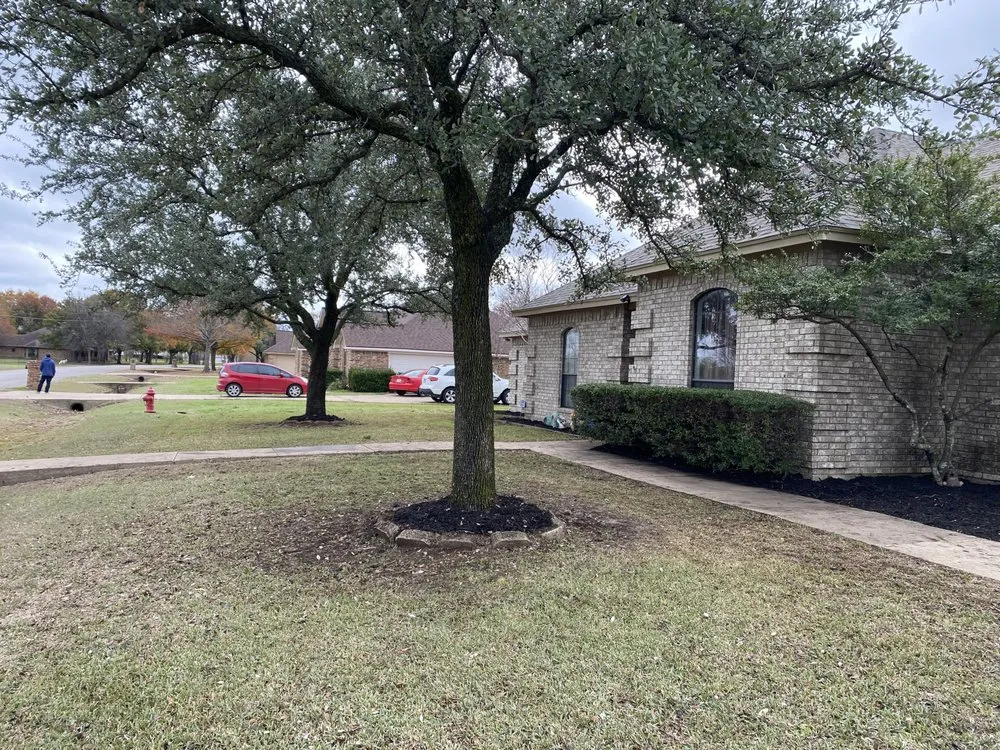 Top-rated lawn mowing service for year-round maintenance across Crowley, TX - JB Lawn Care