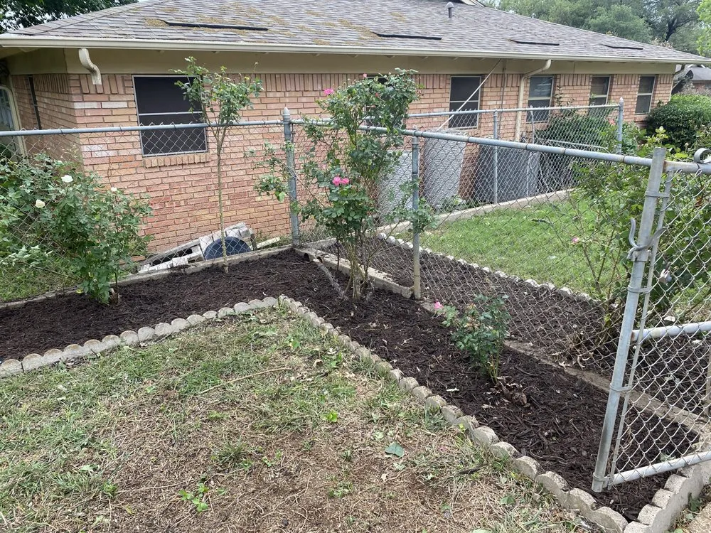 Expert yard maintenance in Crowley, TX - JB Lawn Care