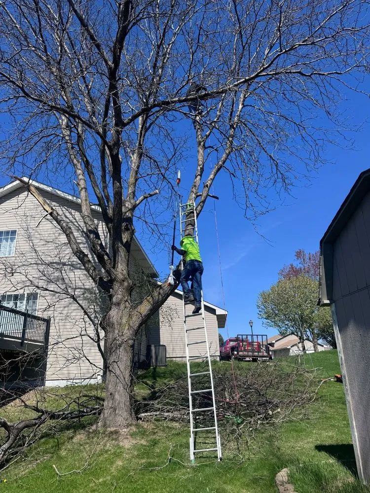 Top-rated residential landscaping experts serving Lakeville, MN - Jb Lawn Care& More