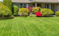 Expert landscape design in Rockford, IL by Jb Lawn Care