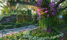 Trusted yard cleanup service in Rockford, IL - Jb Lawn Care