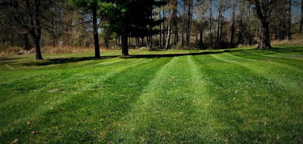 Professional landscaping services in Cass City, MI by JB lawn Care Services