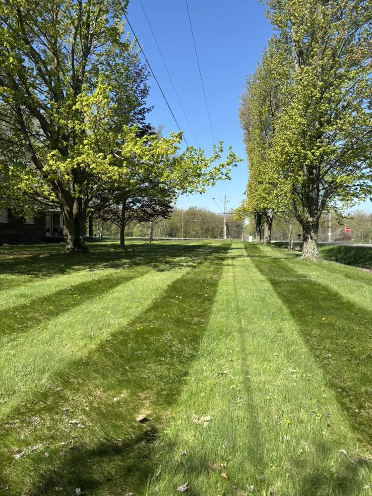 Expert residential landscaping near you across Cass City, MI - JB lawn Care Services