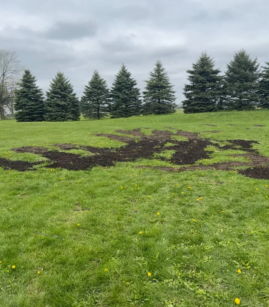 Local landscape design experts serving Cass City, MI - JB lawn Care Services