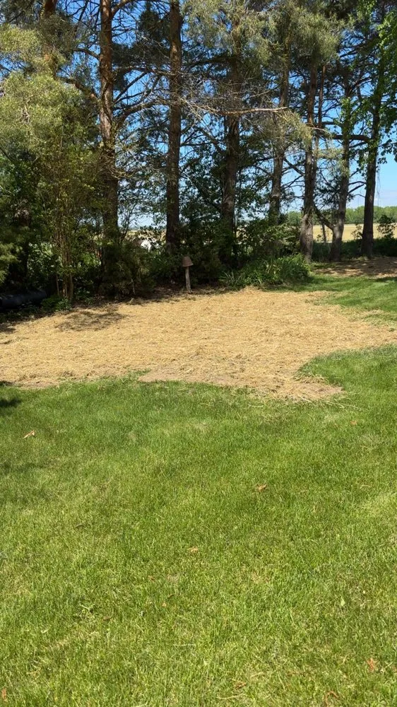 Trusted garden landscaping for homes across Cass City, MI - JB lawn Care Services