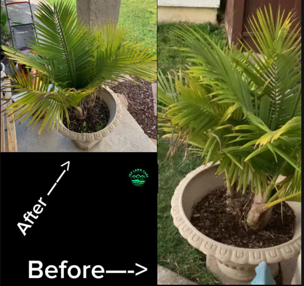 Professional outdoor landscaping for year-round maintenance in Suisun City, CA by J&B Lawn Care