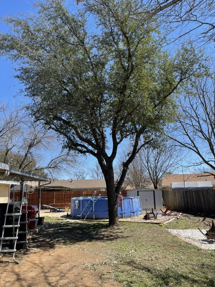 Trusted landscaping services with custom design in Wichita Falls, TX by JB Lawn Care