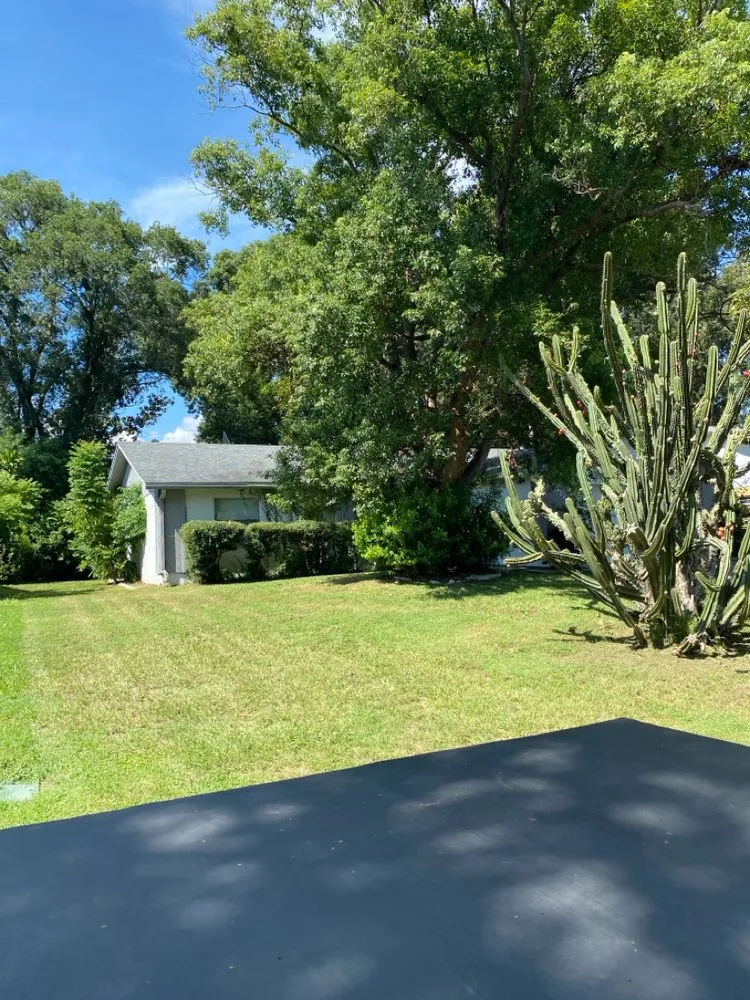 Expert garden landscaping experts serving Lakeland, FL - Jb Lawn Service