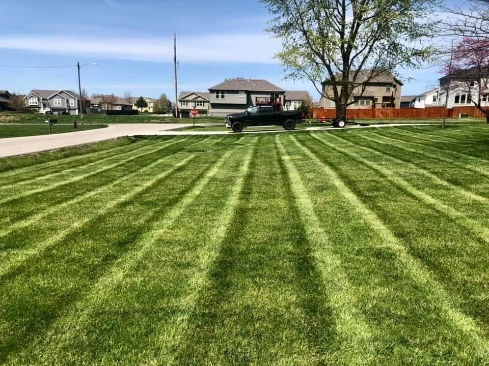 Top-rated landscape design for homes in Garden City, MO by JB Lawns