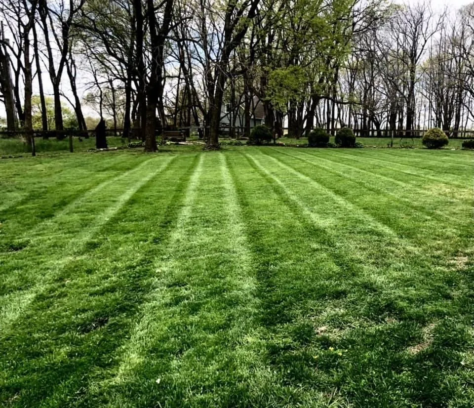 Professional lawn care service in Garden City, MO by JB Lawns