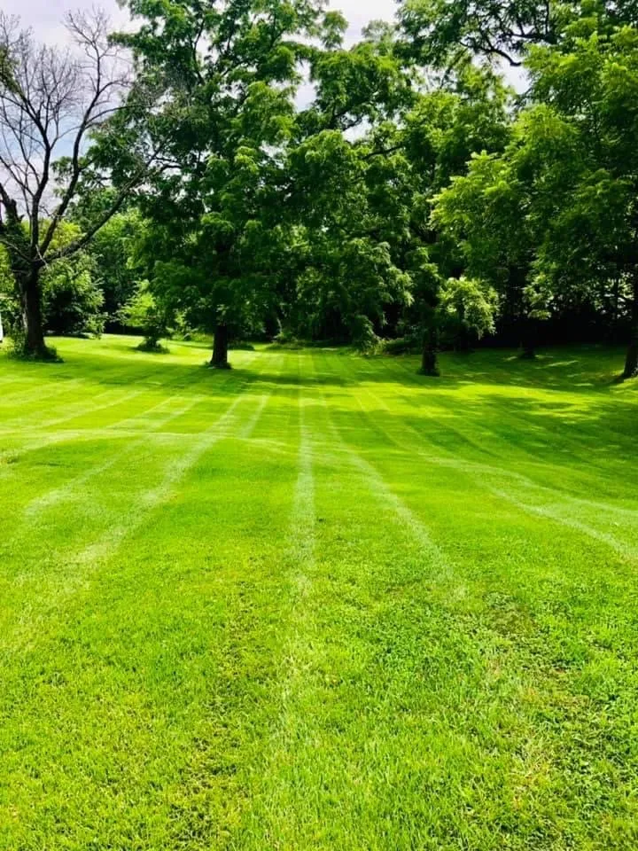 Affordable outdoor landscaping experts serving Garden City, MO - JB Lawns