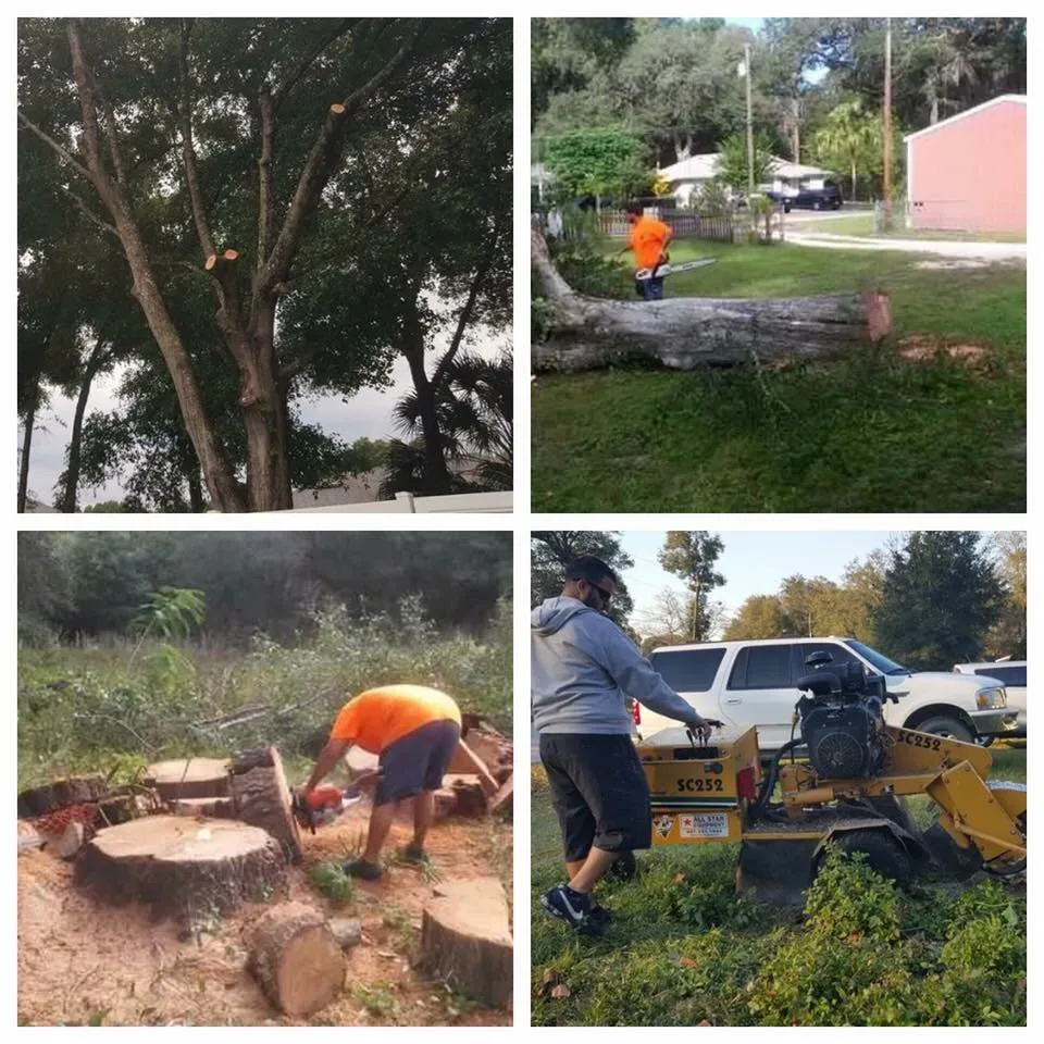 Trusted yard cleanup service in DeLand, FL by J&B Outdoors