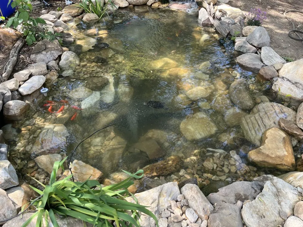 Expert lawn care service in Stuarts Draft, VA - JB Ponds