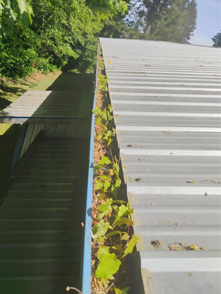 Reliable landscape design in Bremerton, WA by JB Pressure Washing & Landscaping