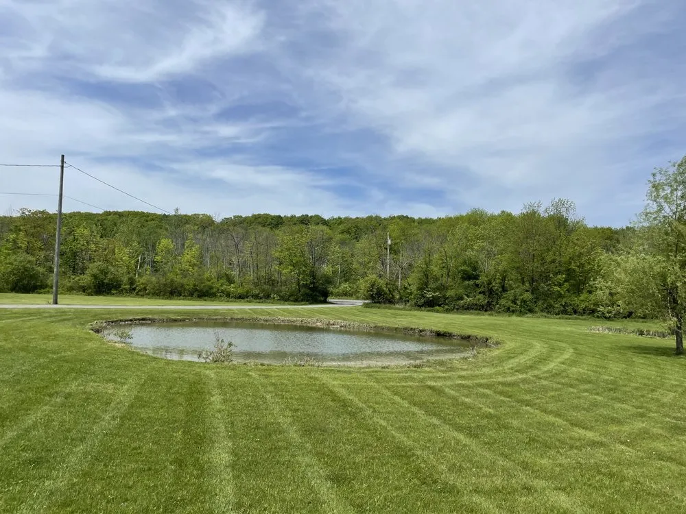 Professional yard cleanup service for beautiful yards in East Durham, NY by JB Property Management