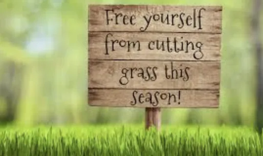 Professional landscape installation in Ofallon, MO - Jb Quality Lawn Maintenance