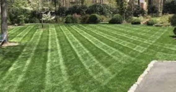 Professional outdoor landscaping in Ofallon, MO by Jb Quality Lawn Maintenance