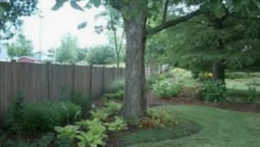 Affordable residential landscaping for residential properties across Ofallon, MO - Jb Quality Lawn Maintenance