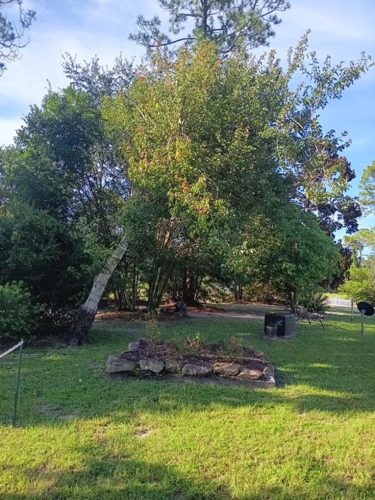 Local residential landscaping in Live Oak, FL - J&B Quality Outdoor Solutions