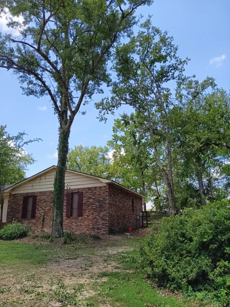 Custom landscape installation experts serving Live Oak, FL - J&B Quality Outdoor Solutions