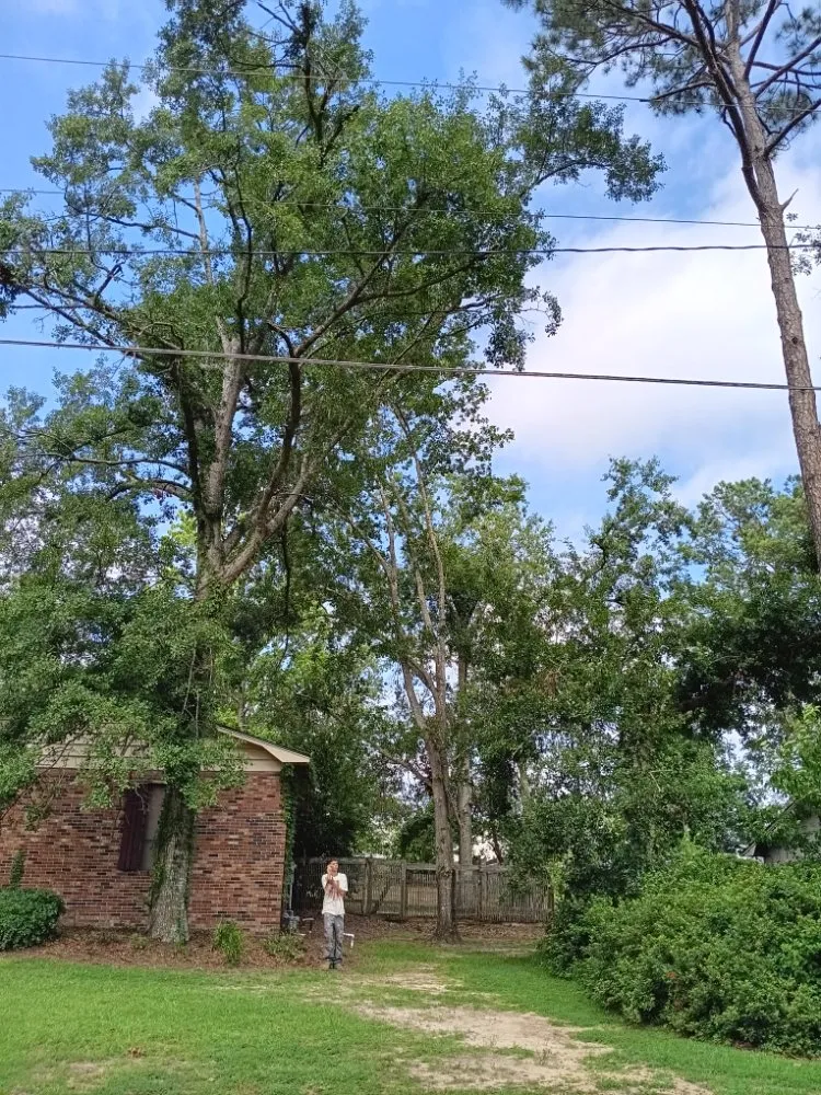 Professional yard cleanup service experts serving Live Oak, FL - J&B Quality Outdoor Solutions