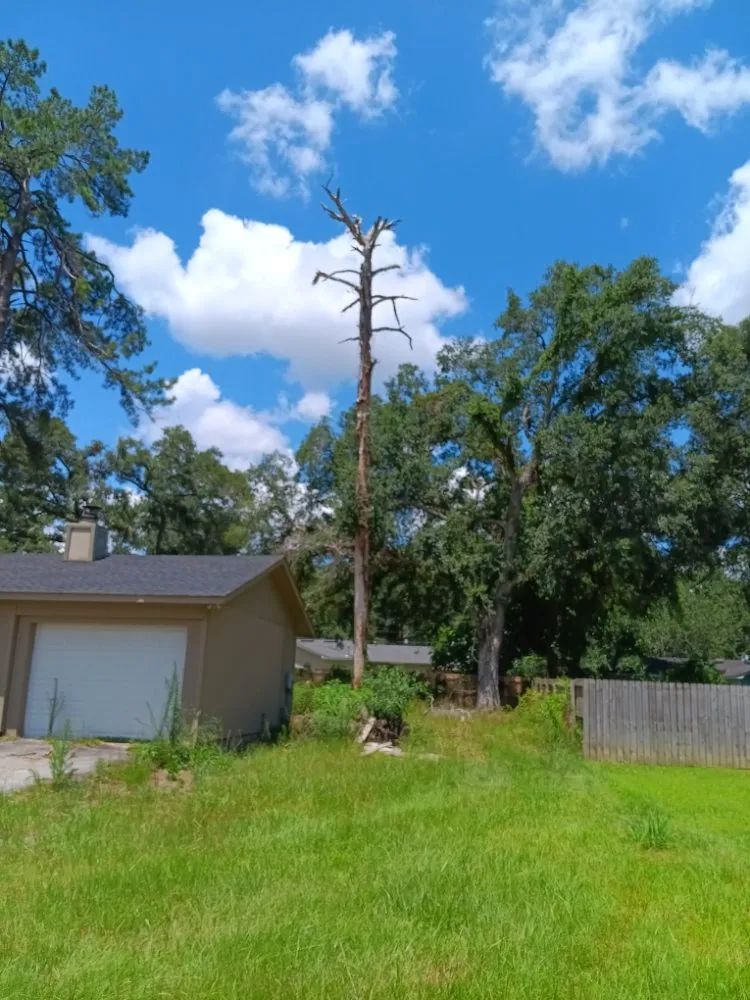 Trusted yard maintenance in Live Oak, FL - J&B Quality Outdoor Solutions