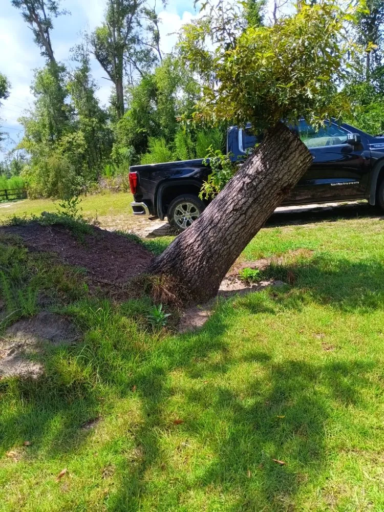 Reliable outdoor landscaping near you across Live Oak, FL - J&B Quality Outdoor Solutions