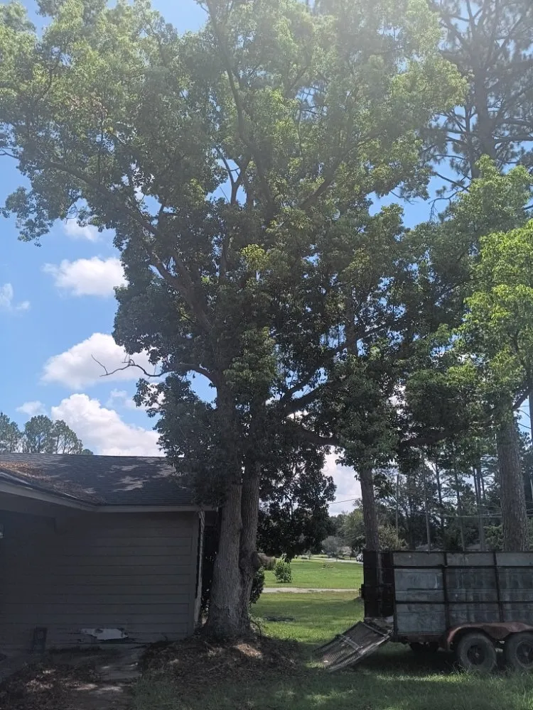 Reliable landscaping services near you across Live Oak, FL - J&B Quality Outdoor Solutions