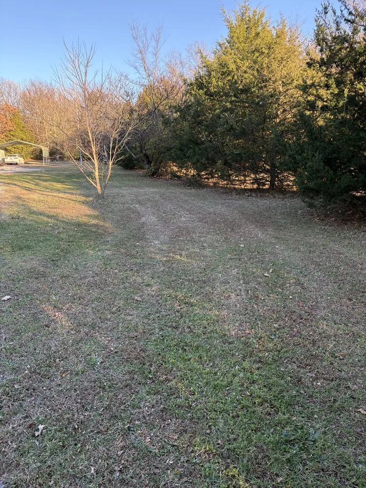 Custom yard cleanup service experts serving Fayetteville, AR - JB Refurbishing