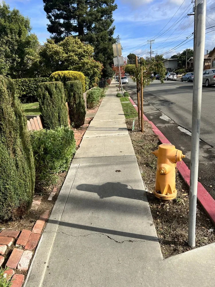 Trusted landscape installation for residential properties in Hayward, CA by JB Services