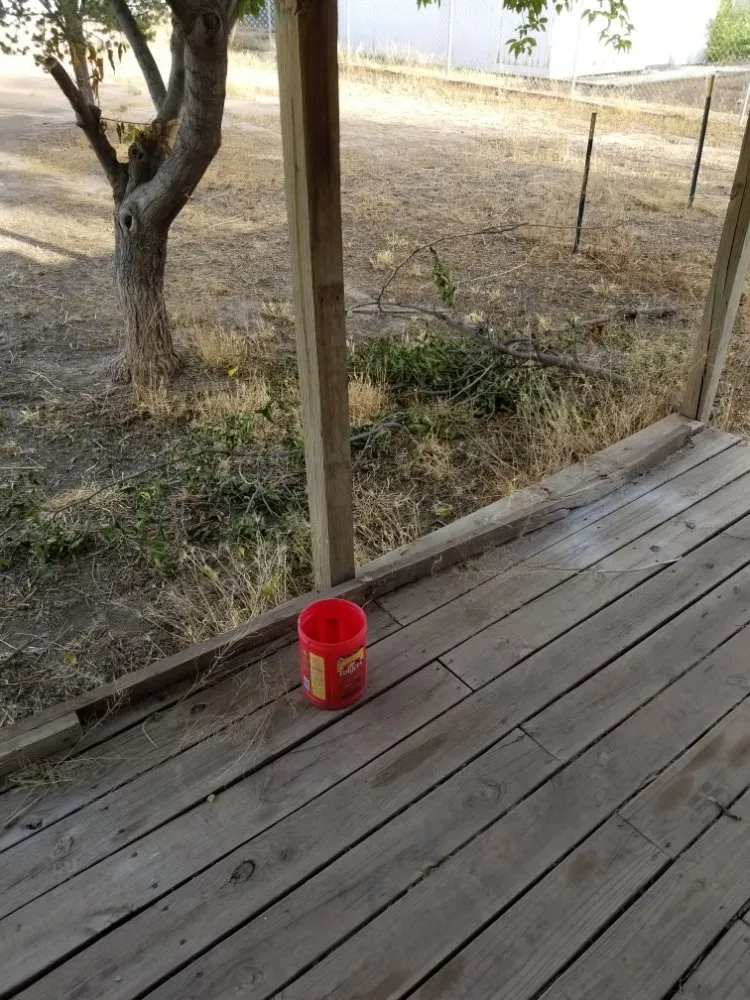 Affordable outdoor landscaping in Roswell, NM - J&B Service's