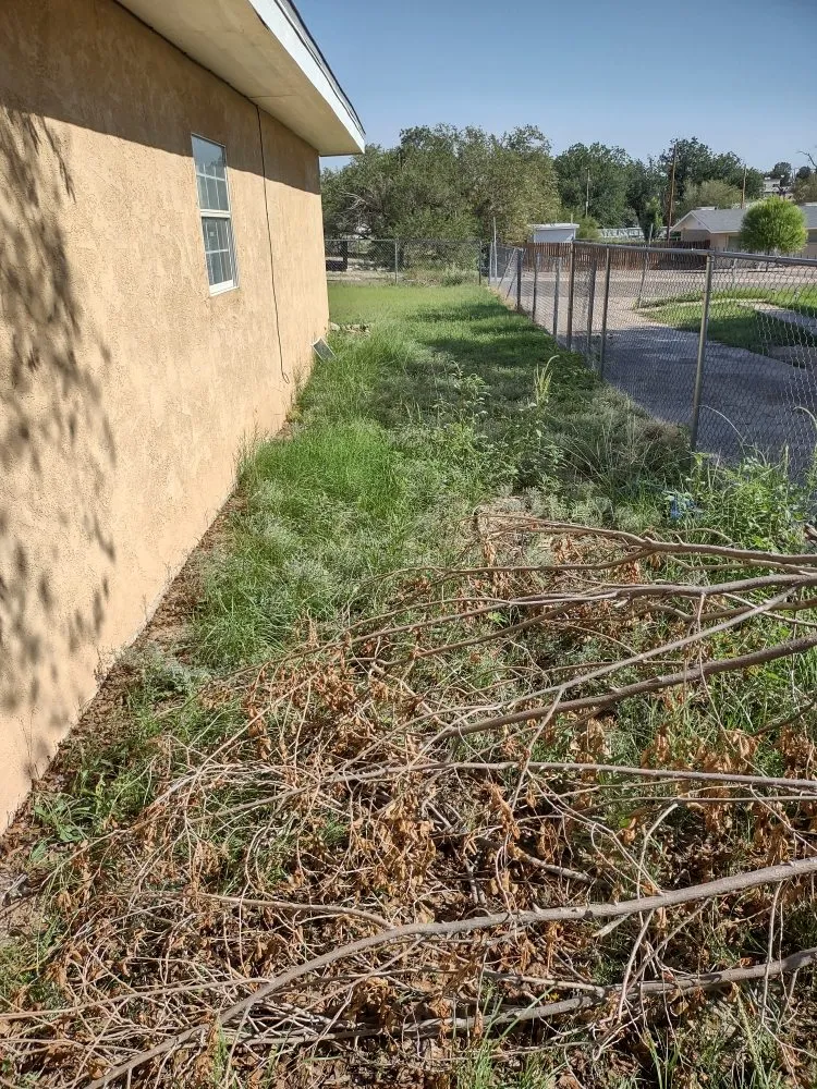 Trusted yard cleanup service for residential properties in Roswell, NM by J&B Service's